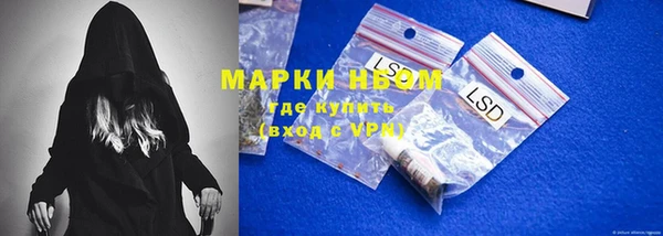 шишки Арсеньев