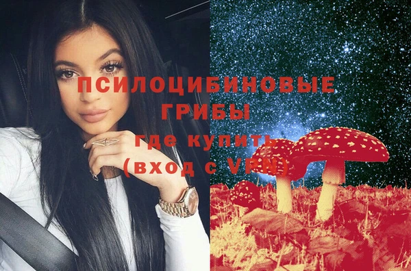 шишки Арсеньев