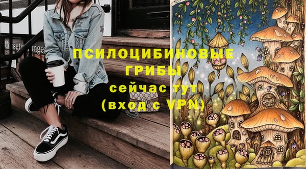 mdpv Армянск