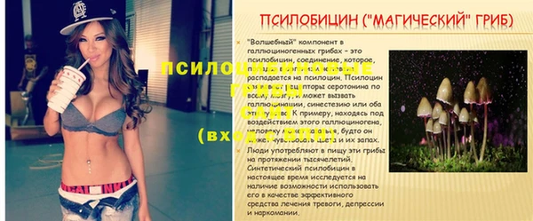 шишки Арсеньев