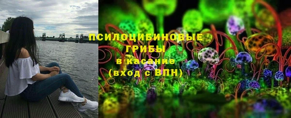 шишки Арсеньев