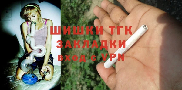 шишки Арсеньев