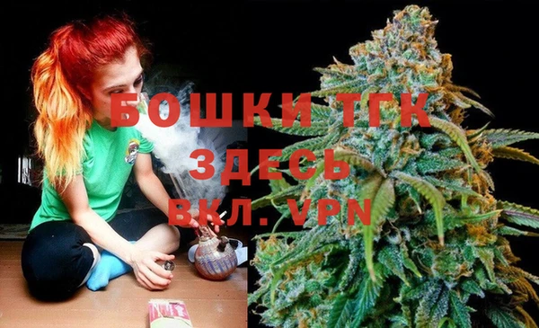 шишки Арсеньев