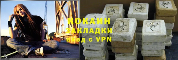 шишки Арсеньев