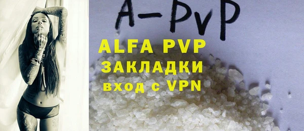 шишки Арсеньев