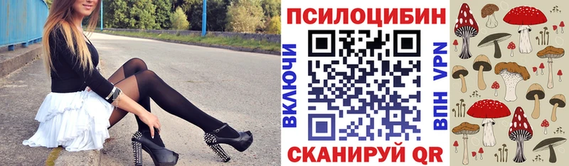 наркотики  OMG как войти  Псилоцибиновые грибы прущие грибы  Старая Купавна 